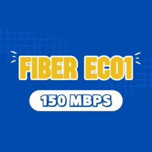 FiberEco1